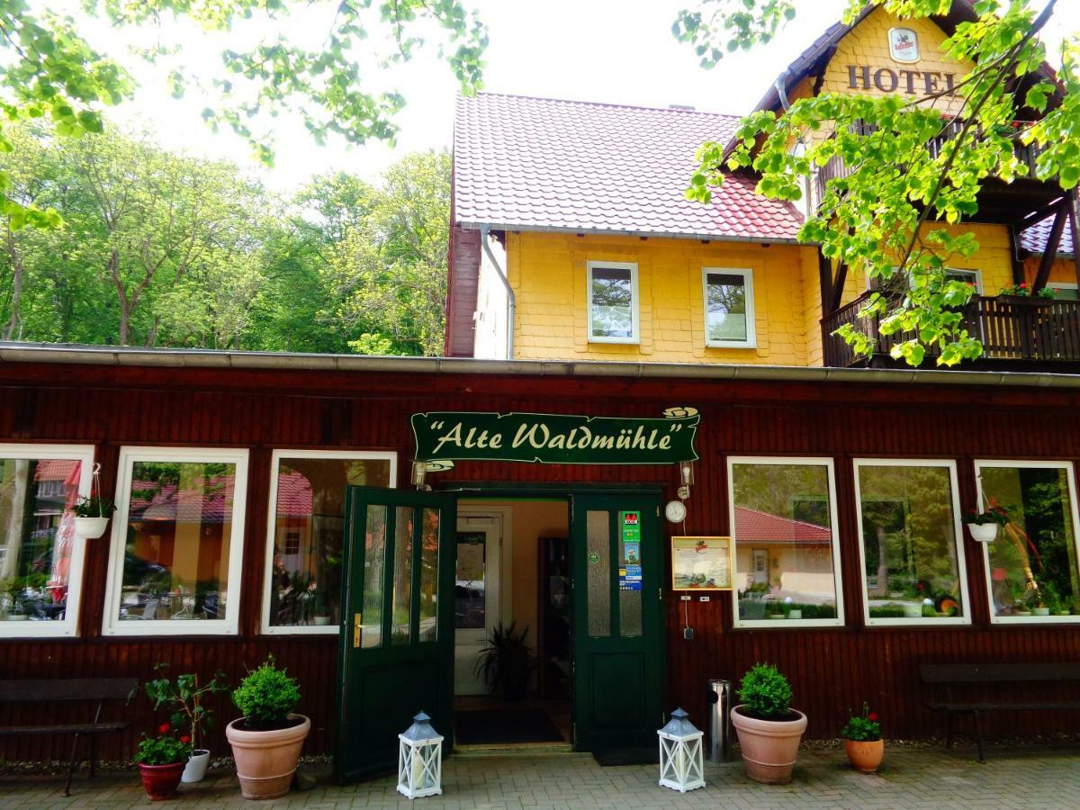 Hotel Alte Waldmühle Wernigerode Exterior foto